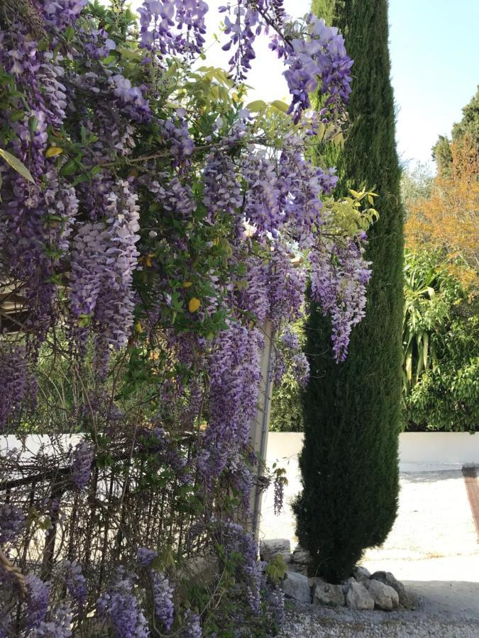 Bastide Nomade - Guest House Saint-Paul-de-Vence Exteriör bild